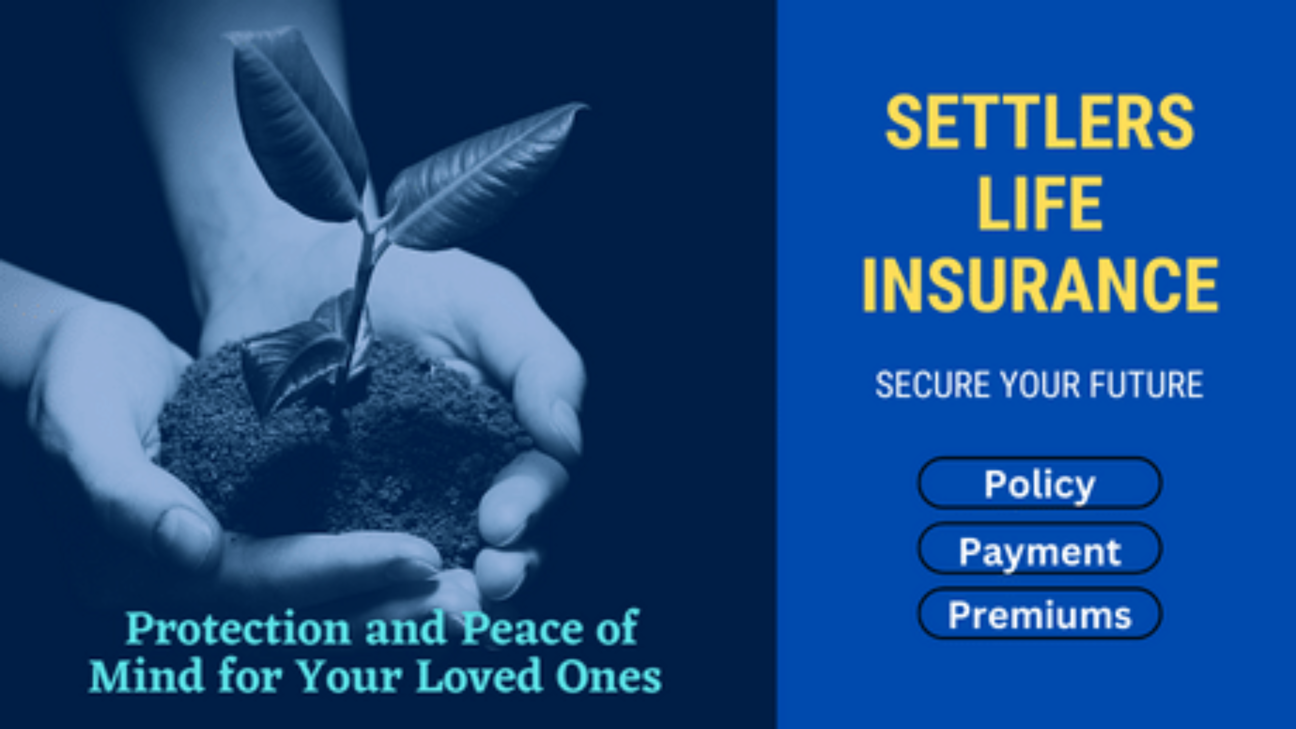 What Is Settlers Life Insurance and How Does It Work
