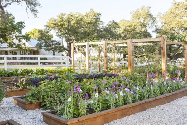 How to Make a Garden Like Joanna Gaines