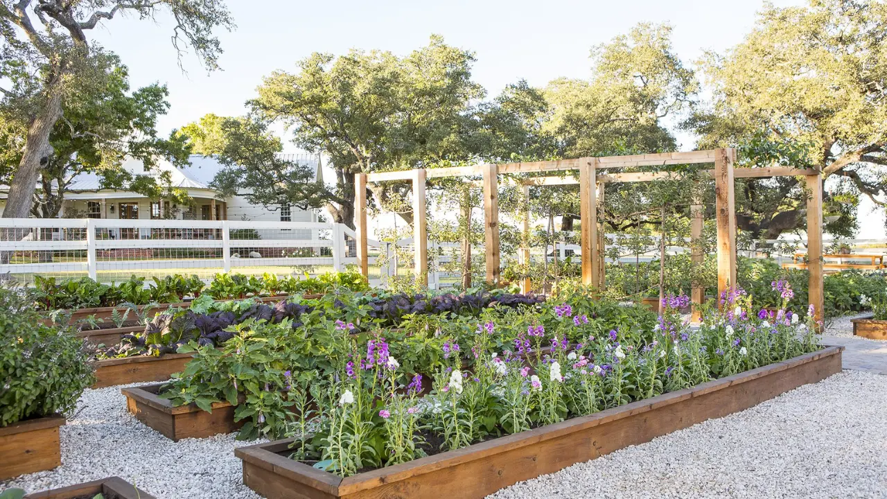 How to Make a Garden Like Joanna Gaines